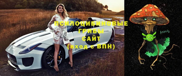 скорость Алексин