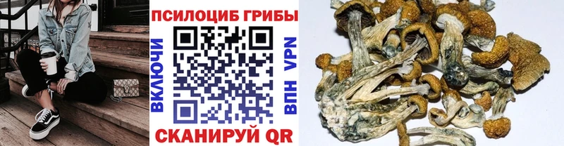 Галлюциногенные грибы MAGIC MUSHROOMS  Муром 
